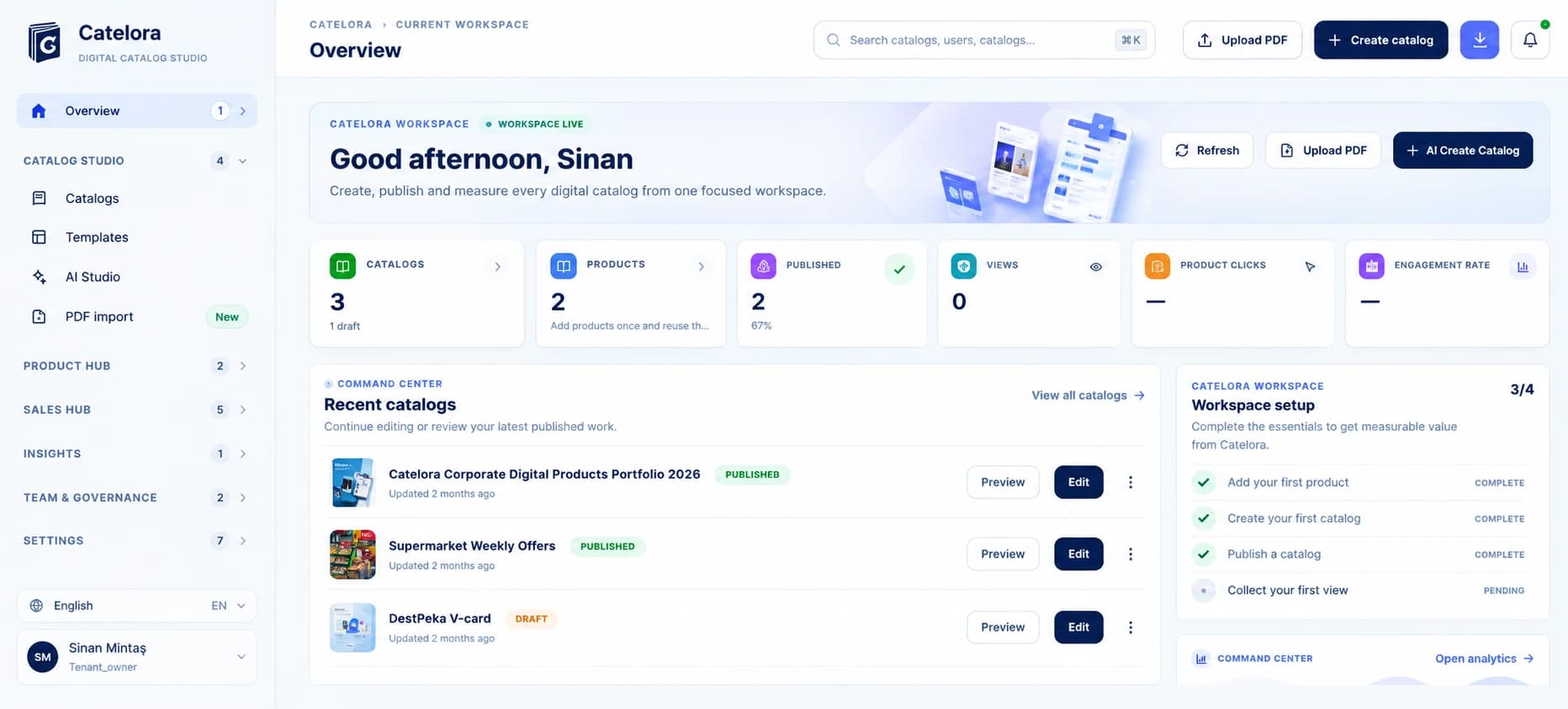 Catelora product interface